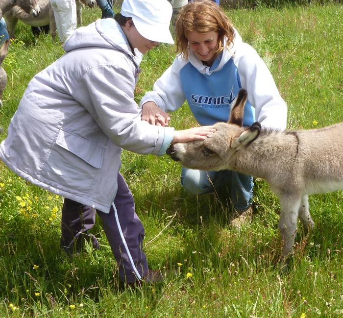 Anes SARDES et miniatures MEDIATION et compagnie