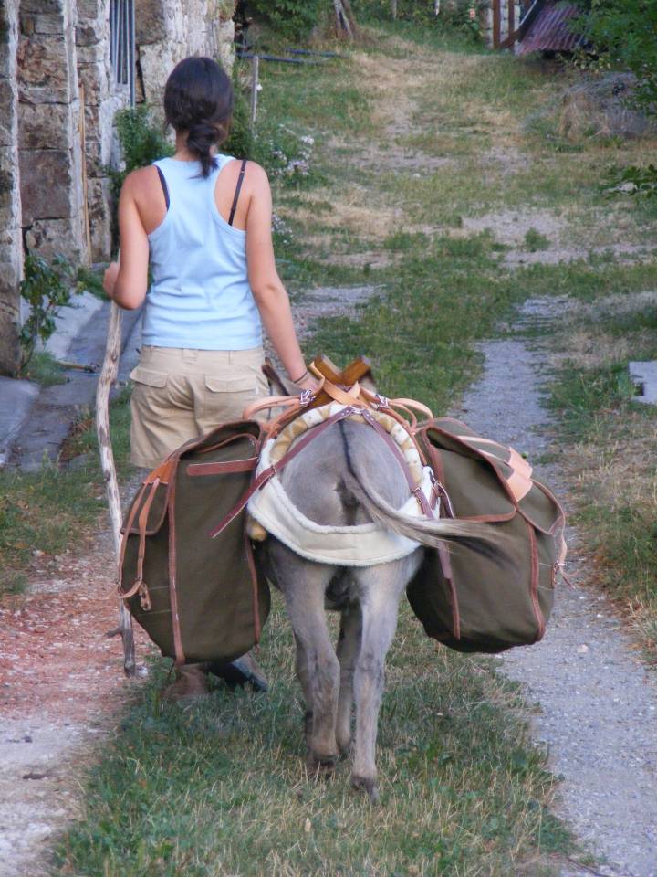 Anes SARDES et miniatures MEDIATION et compagnie