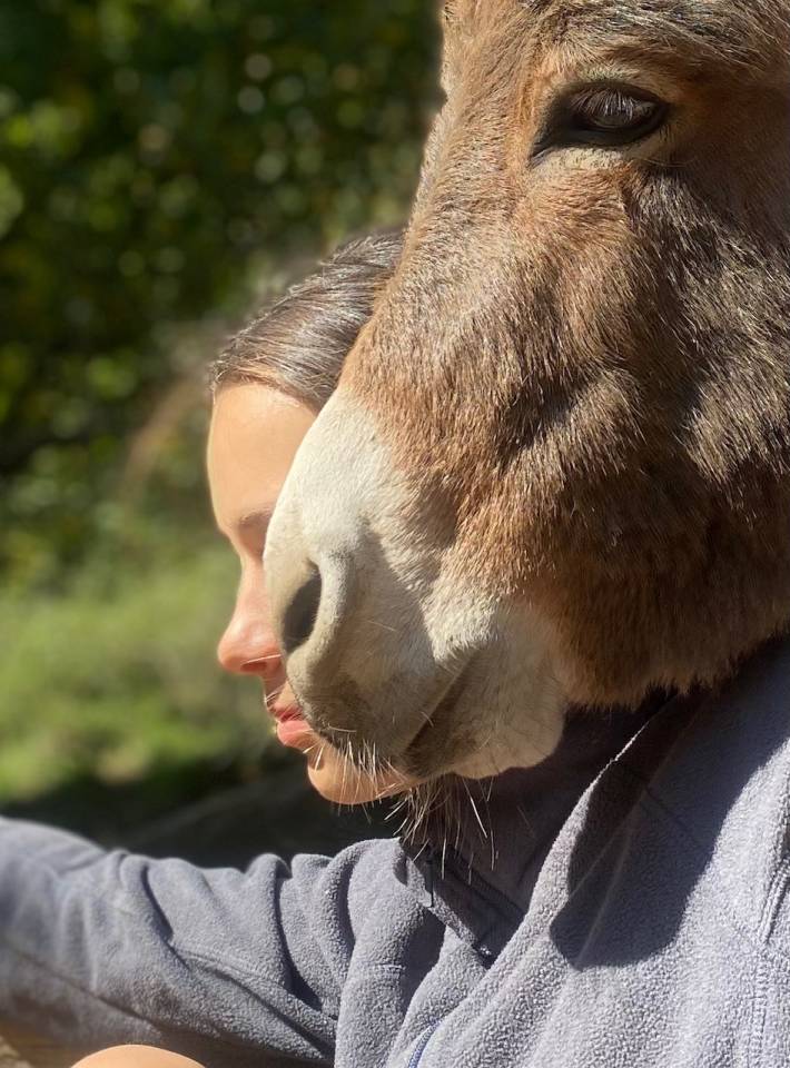 Anes SARDES et miniatures MEDIATION et compagnie