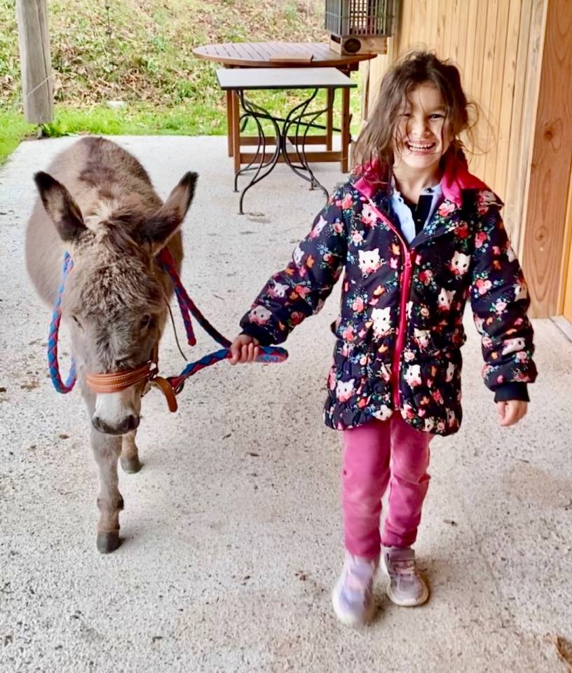 Anes SARDES et miniatures MEDIATION et compagnie