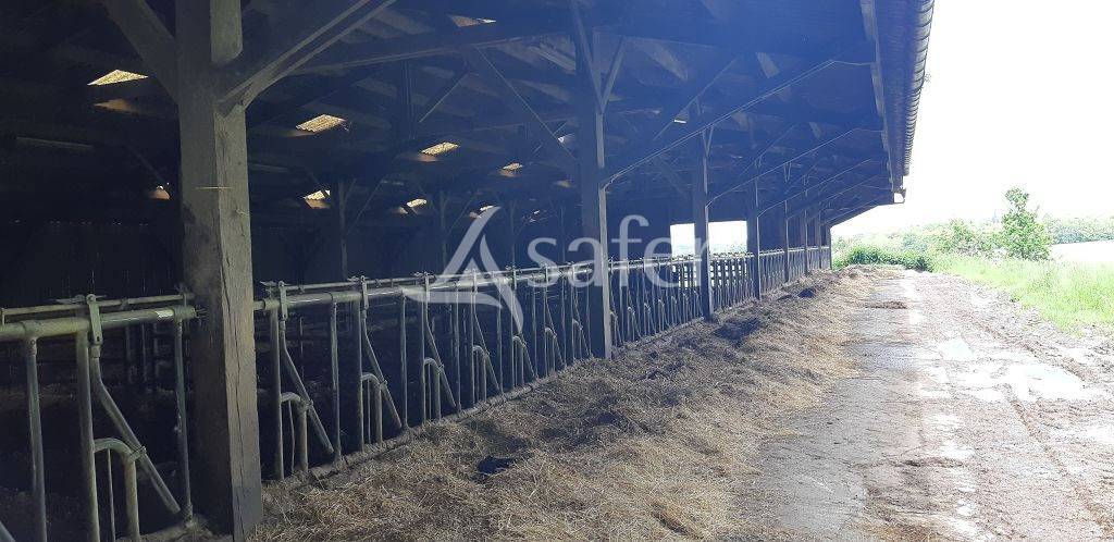 Propriété bâtie d'environ 27 ha 50 groupés