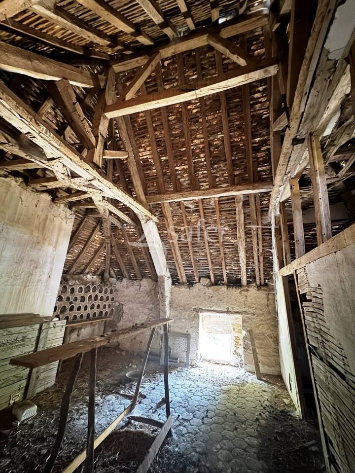 Propriété agricole 445ha avec bâti