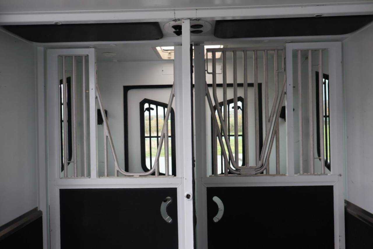 VL MASTER THEAULT PROTEO 5P STALLE SWITCH - VENDU