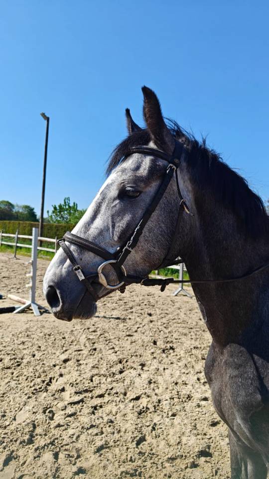 Prix sp&eacute;cial pour le bon pilote ambitieux Promising BWP