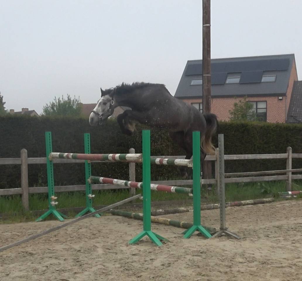 Prix sp&eacute;cial pour le bon pilote ambitieux Promising BWP