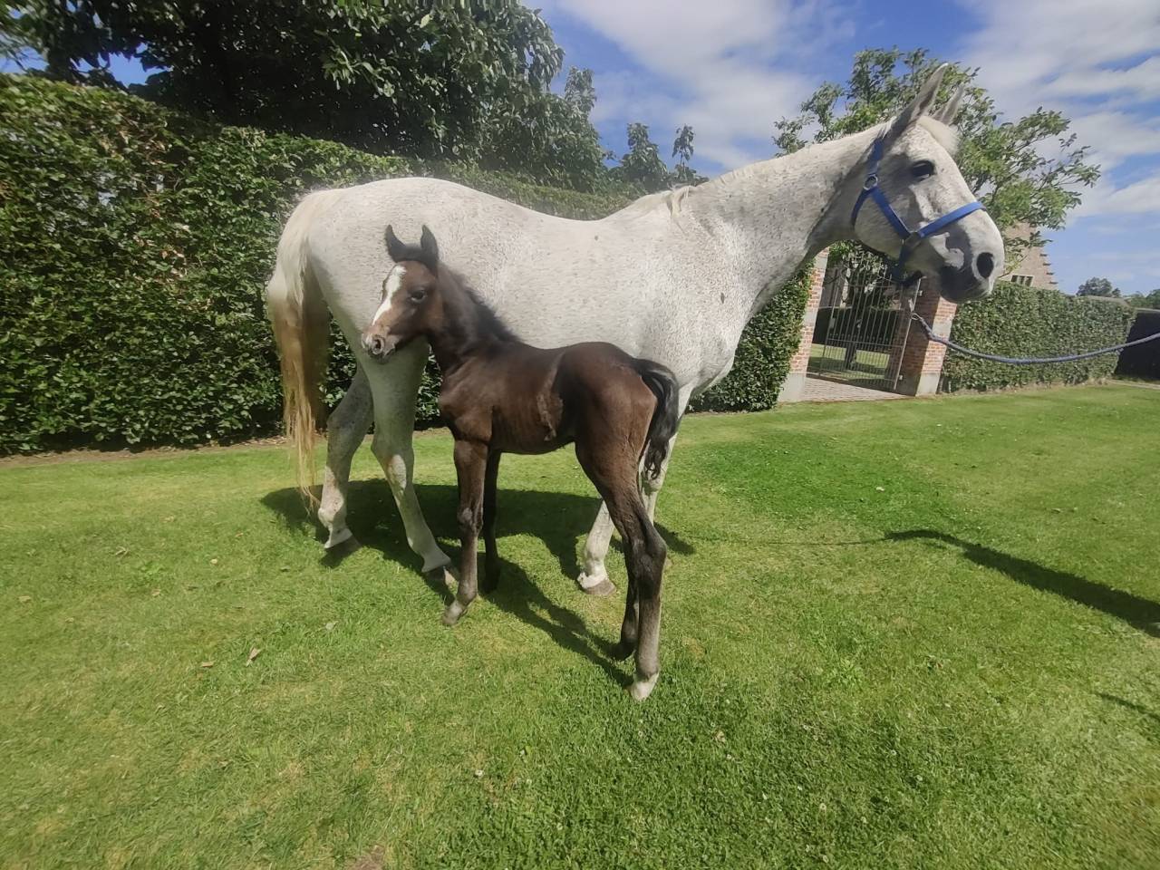 Prix sp&eacute;cial pour le bon pilote ambitieux Promising BWP