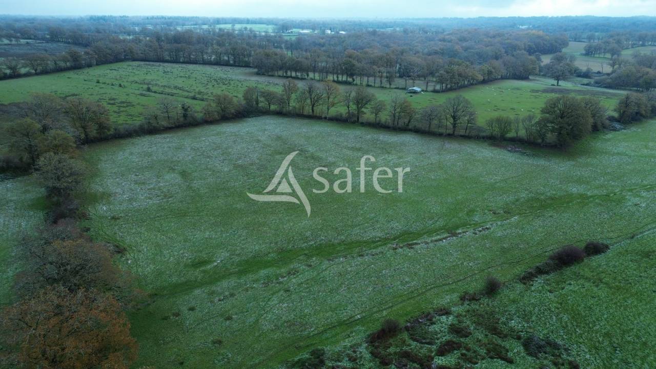 Exploitation agricole 70 hectares