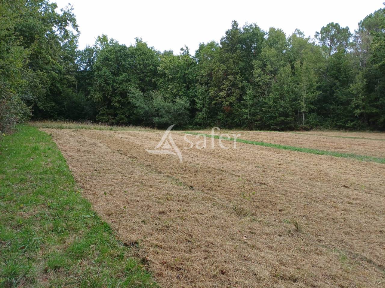 Propriété rurale sur 6ha proche Bergerac