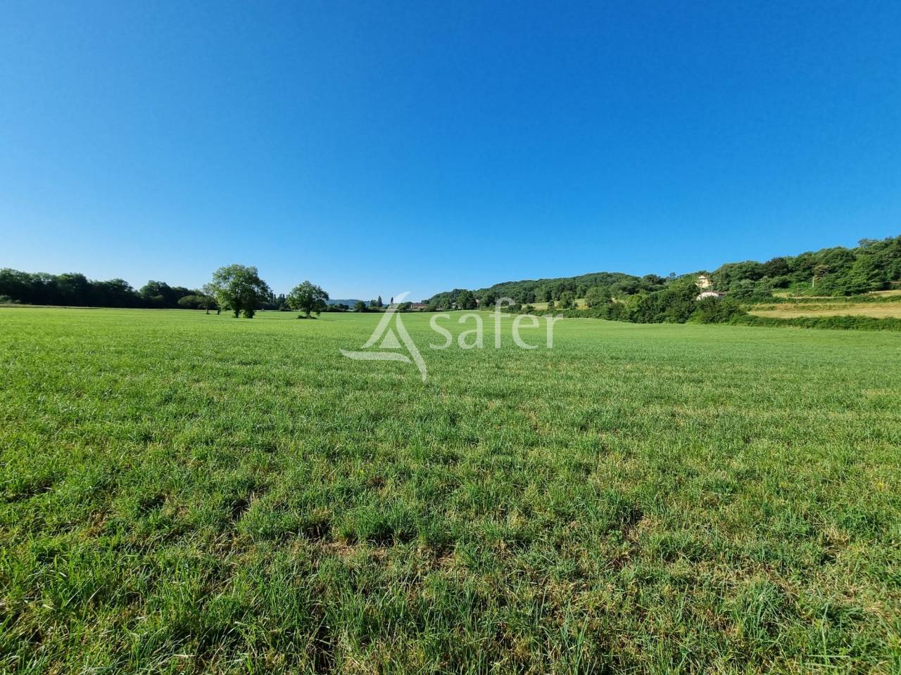 Maison et d&eacute;pendances sur 9 ha proche de Madiran