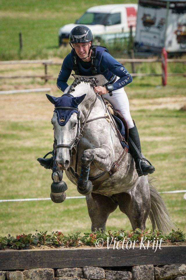 Poulinière (actuellement gestante) à vendre