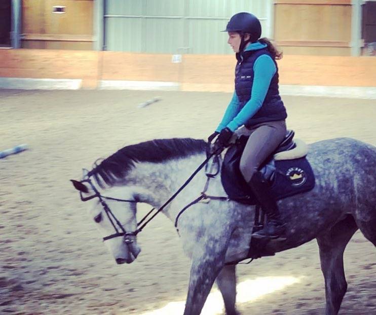 Poulinière (actuellement gestante) à vendre