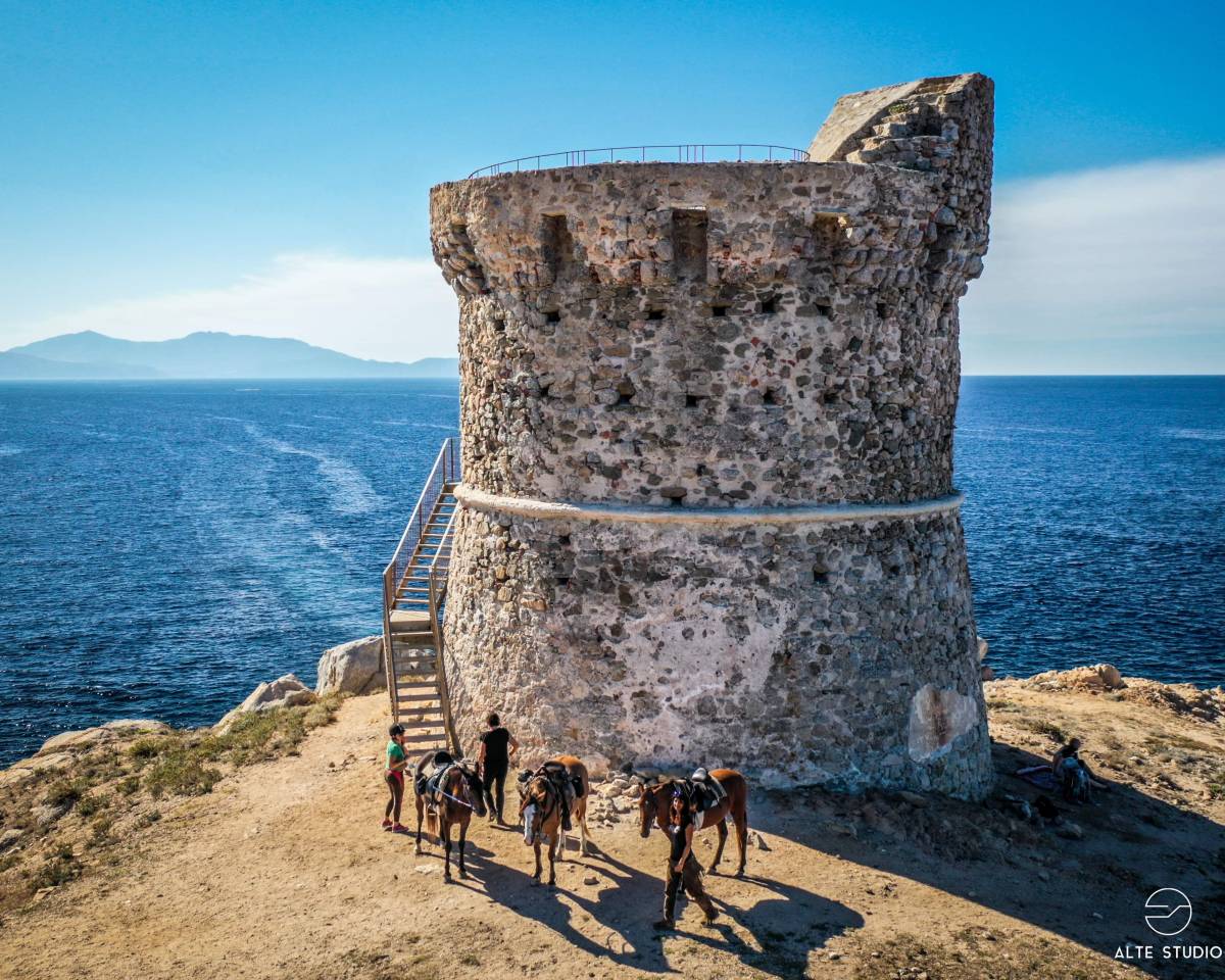 guide randonn&eacute;e &eacute;questre corse saison 2026