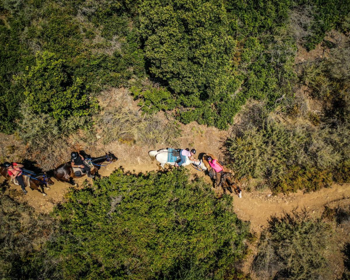 guide randonn&eacute;e &eacute;questre corse saison 2026