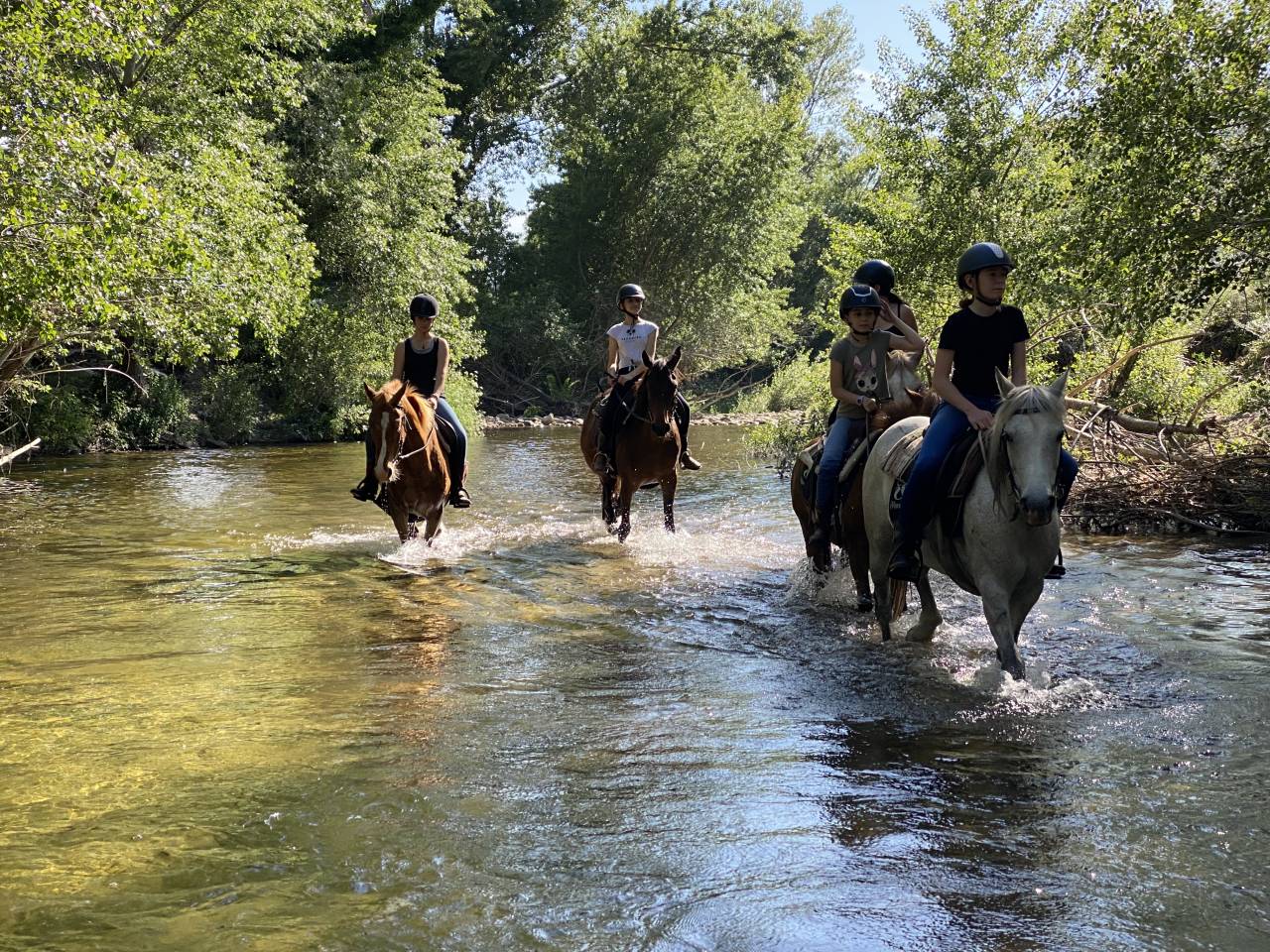 guide randonn&eacute;e &eacute;questre corse saison 2026