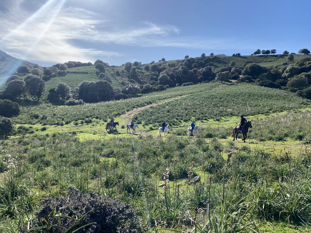 guide randonn&eacute;e &eacute;questre corse saison 2026