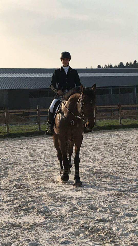 Belle Fleur - Poulinière KWPN à vendre