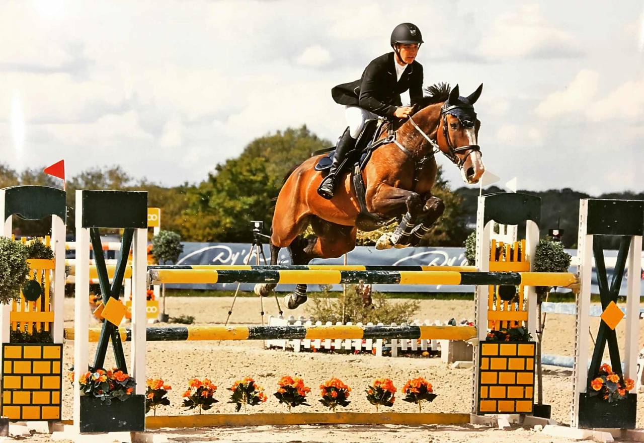 Totem d’Ermac à vendre / donner contre bons soins