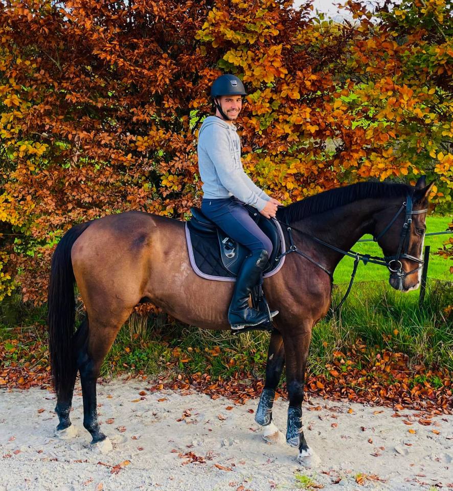 Totem d’Ermac à vendre / donner contre bons soins