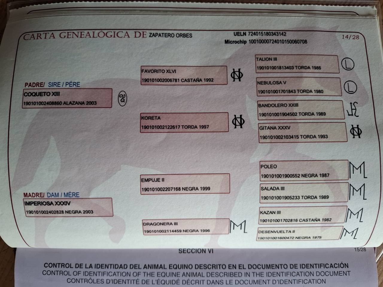 Magnifique hongre 7ans Pure Race Espagnole