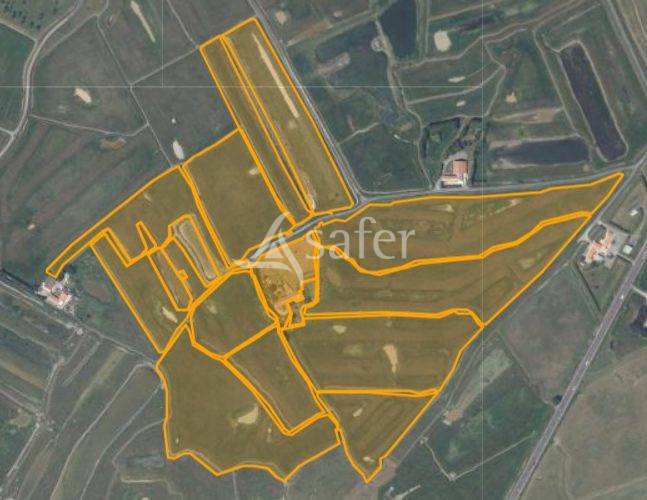 Longère vendéenne sur bel îlot de pâture