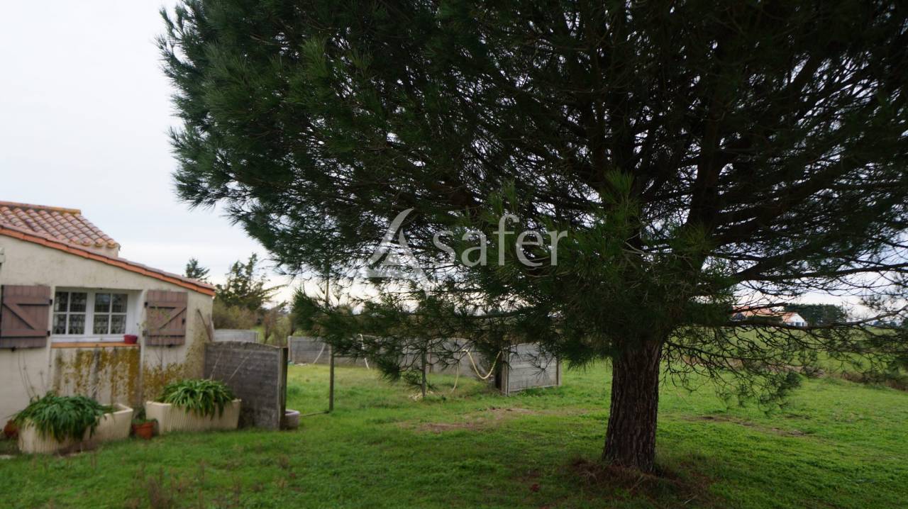 Longère vendéenne sur bel îlot de pâture