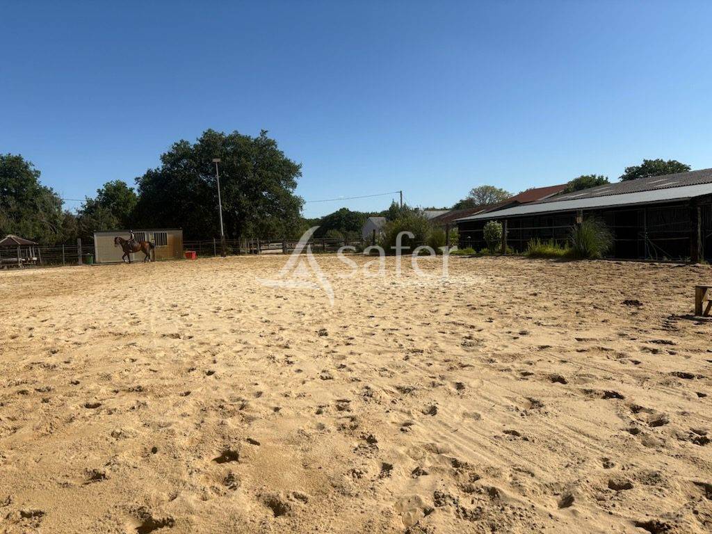 Ecurie de propriétaires