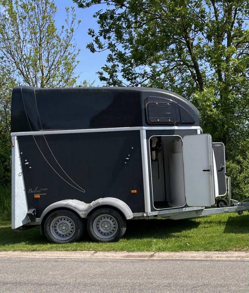 Van HUMBAUR Balios AERO - 2 chevaux