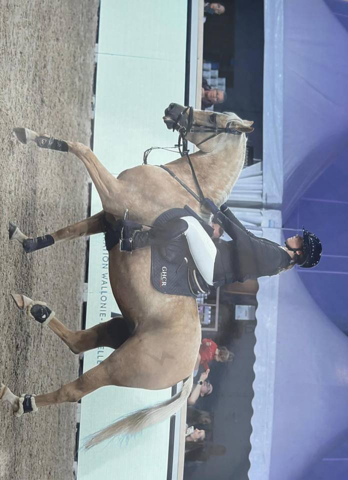 Top ponette de sport CSO / CCE à vendre 