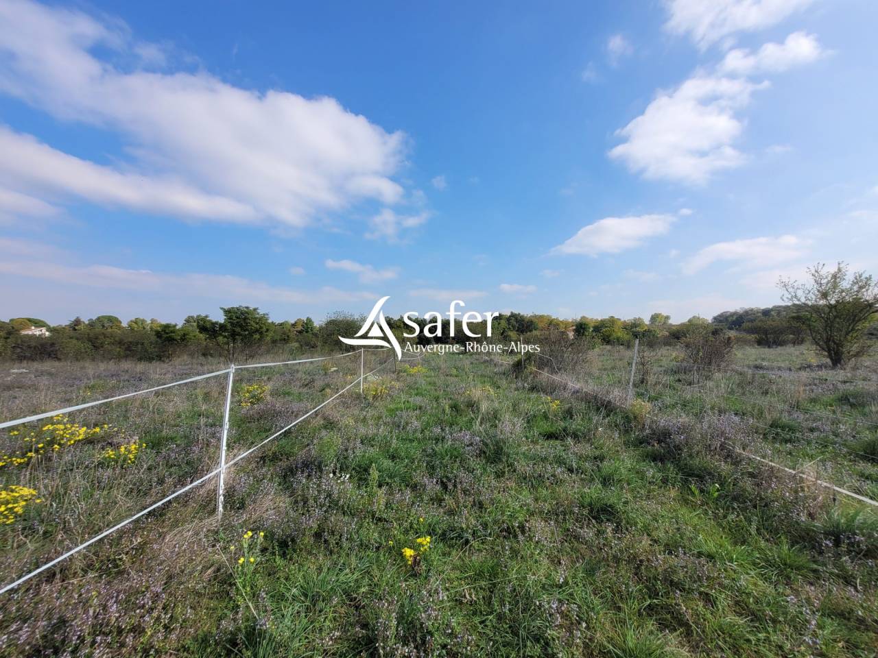 Propriété rurale en pierres de 2 habitations sur 4ha
