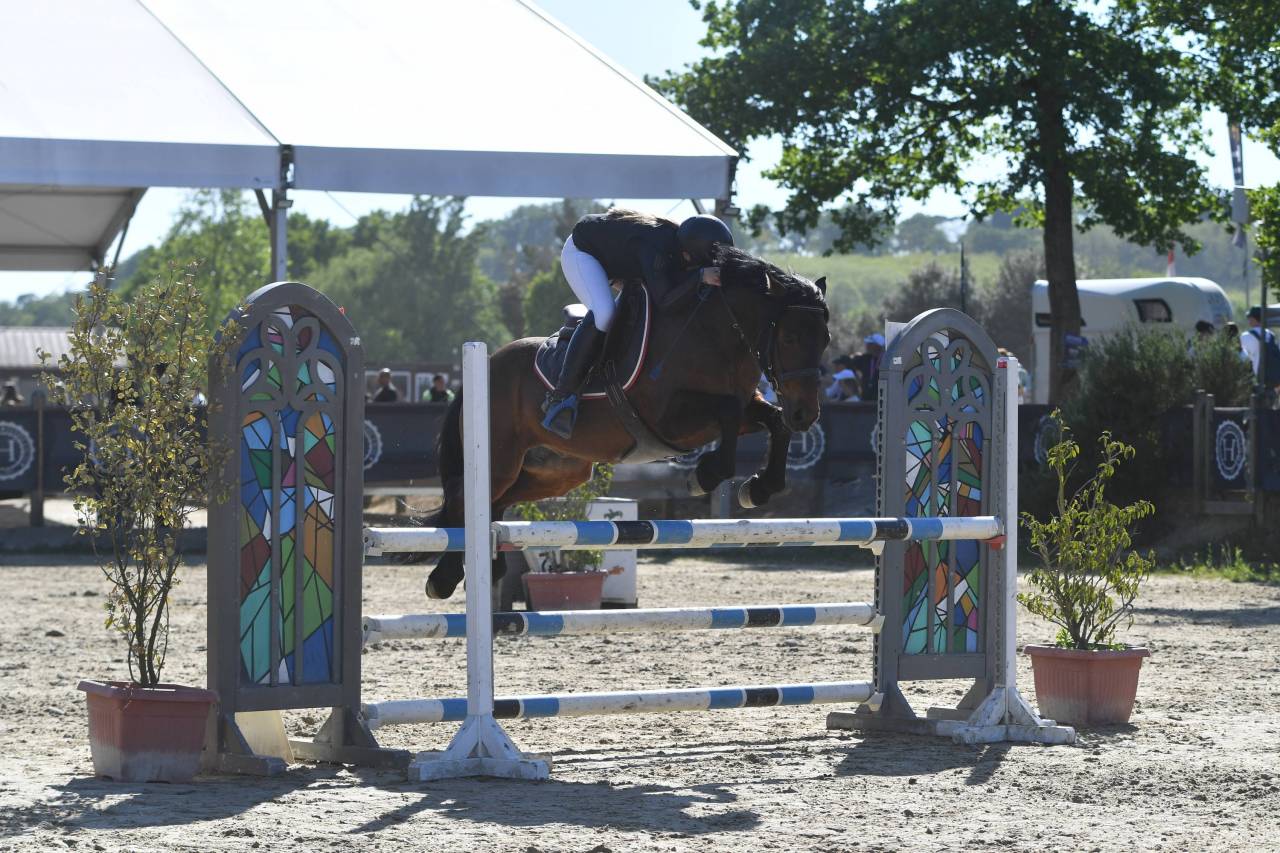 Poney CSO 