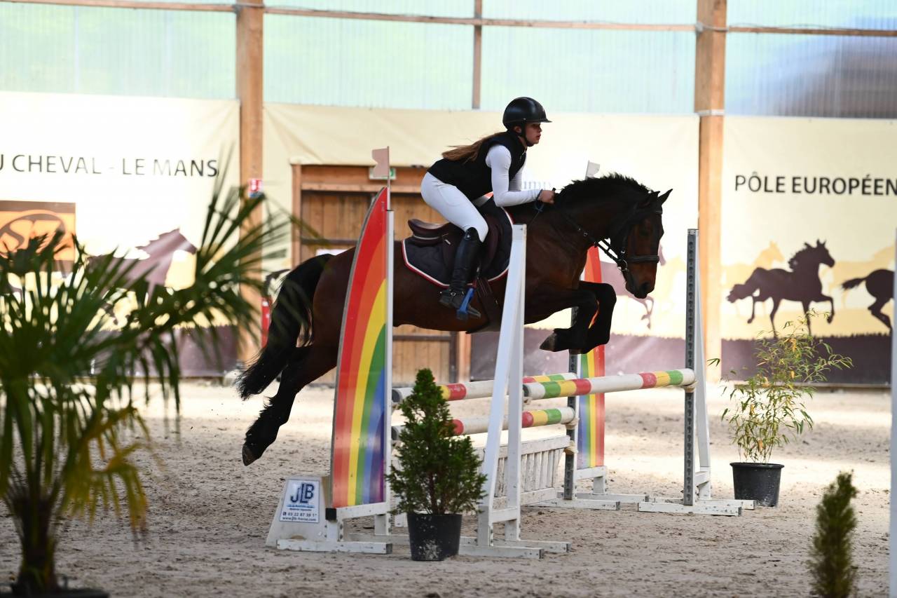 Poney CSO 