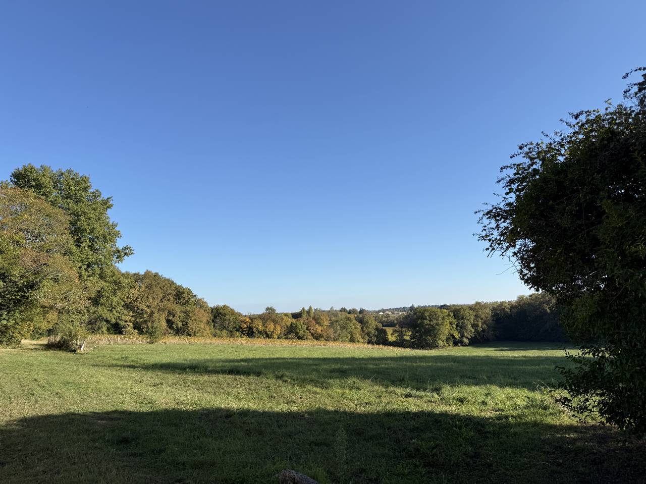 En gironde, sur 28 hect propriété à vocation équestre