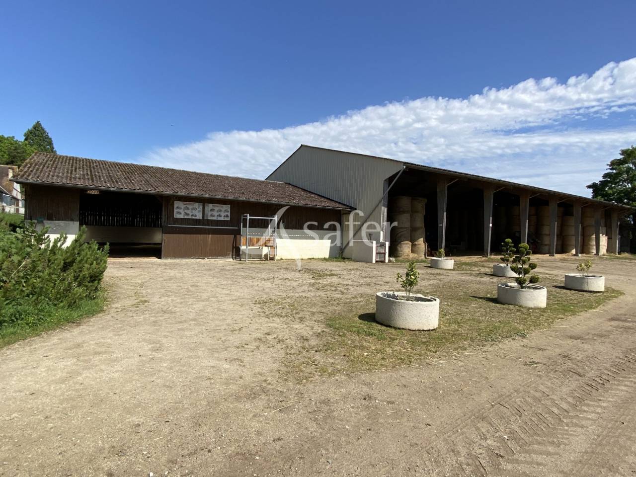 Haras d'élevage
