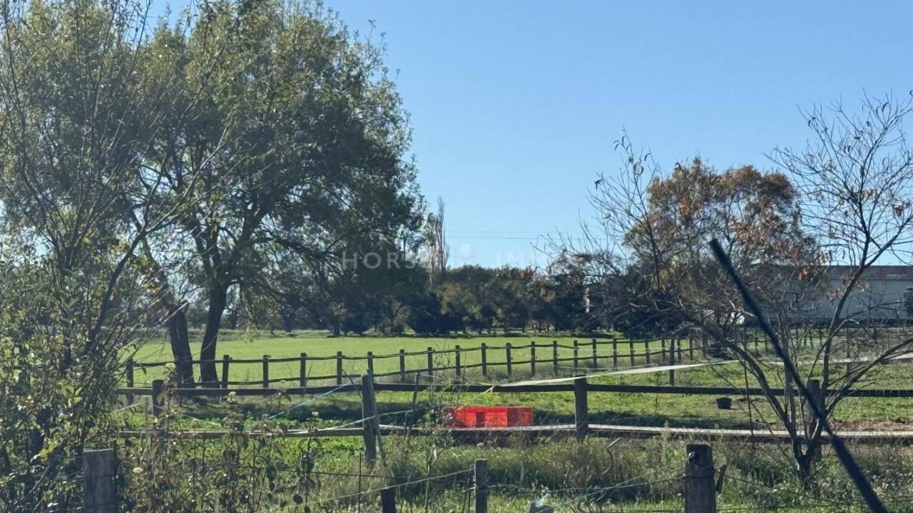 Gard- Très beau mas avec dépendances