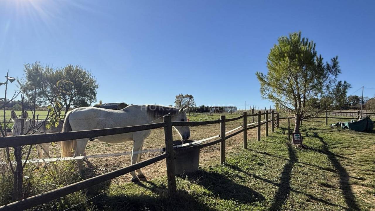 Gard- Très beau mas avec dépendances