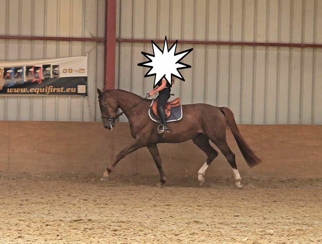 Q'ocktail Secret Of Spirit