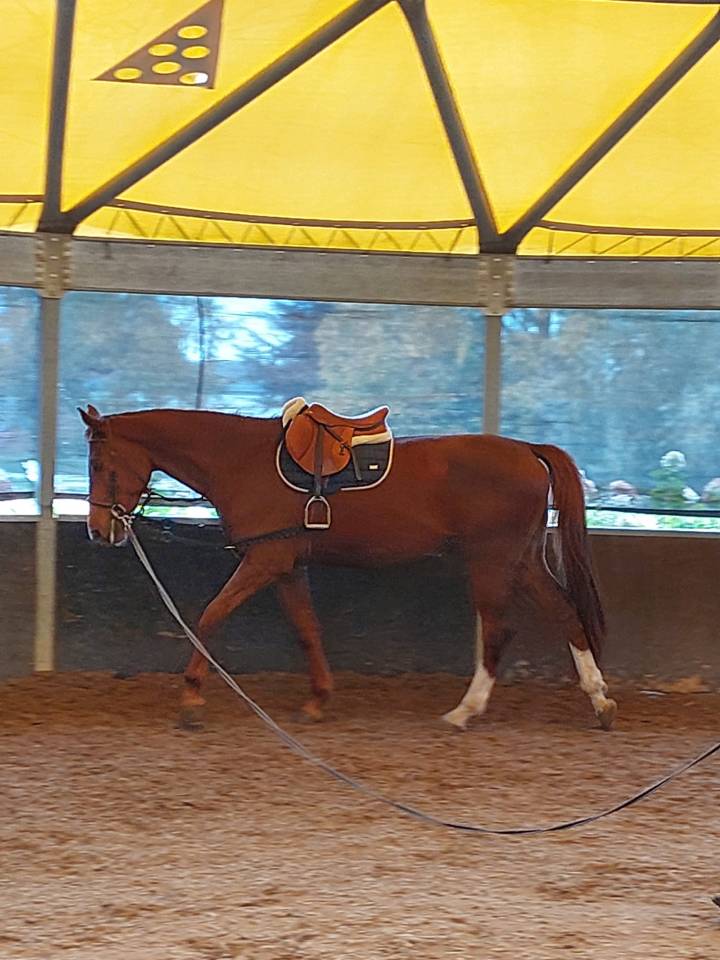 Q'ocktail Secret Of Spirit