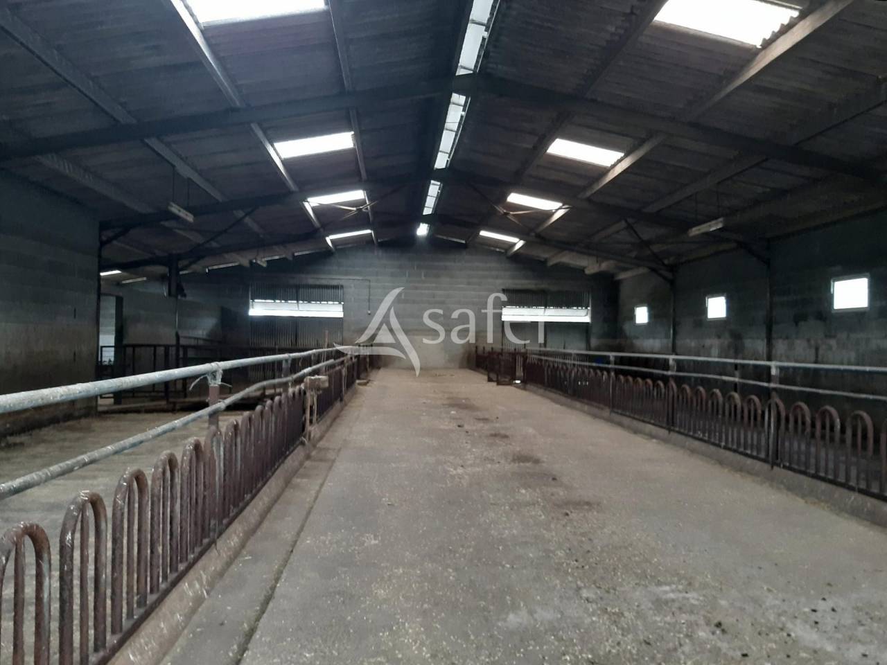 Bâtiments Agricoles sur environ 15 ha