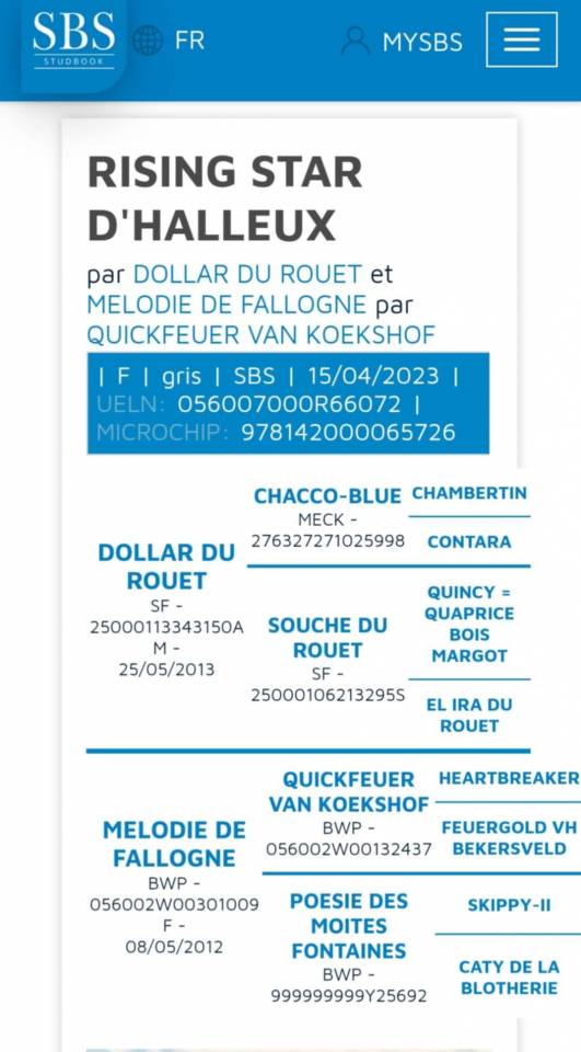 Jument de 2 ans prometteuse 