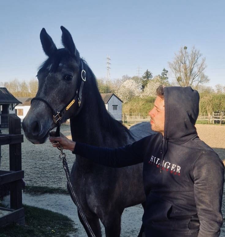 Jument de 2 ans prometteuse 