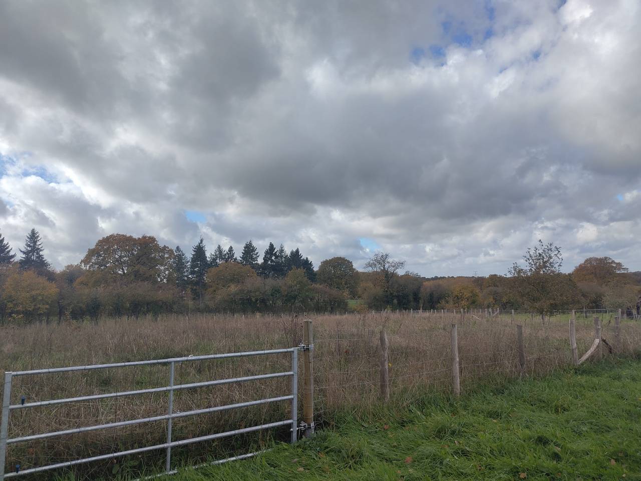 Corps de ferme en forêt de Bercé, parfait pour cavalier