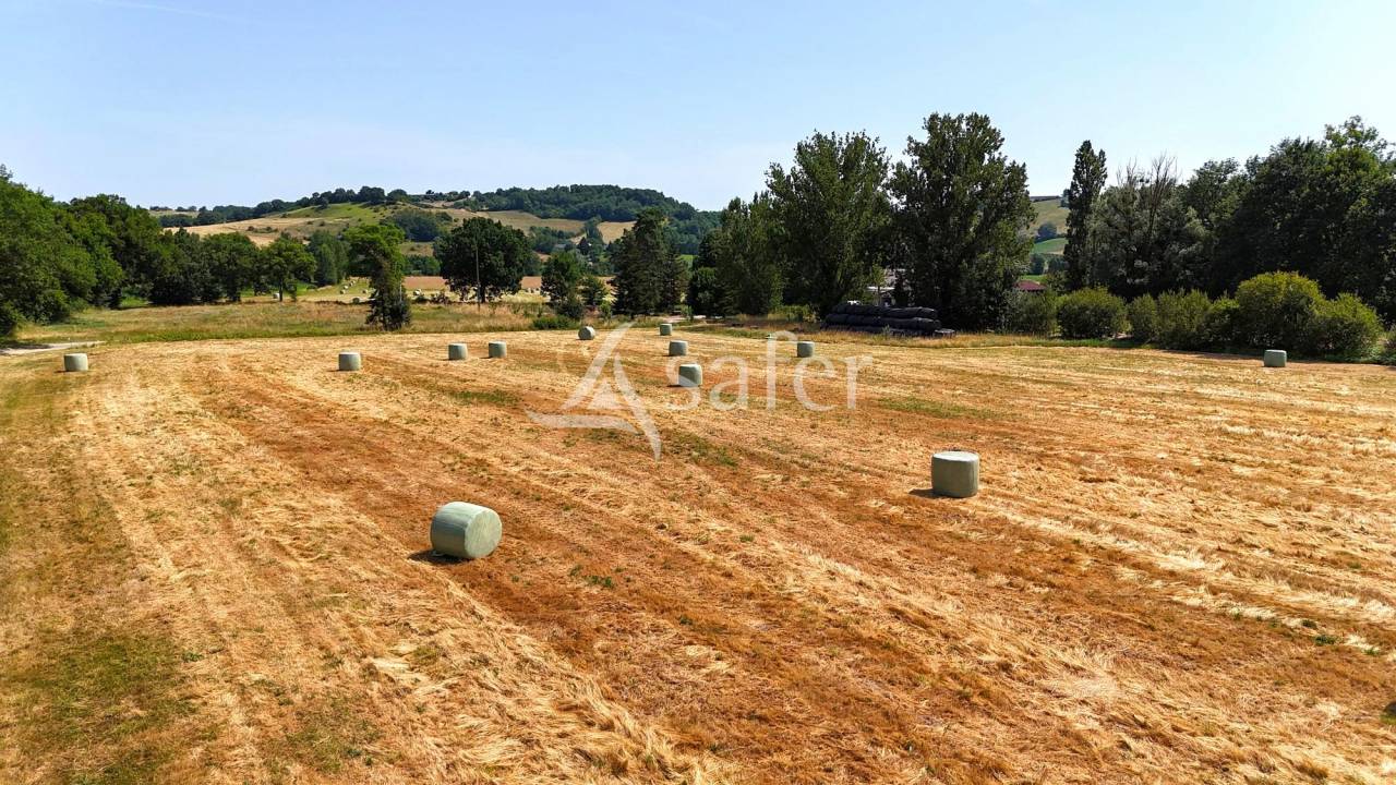 Petite exploitation à vocation élevage avec atelier transforma
