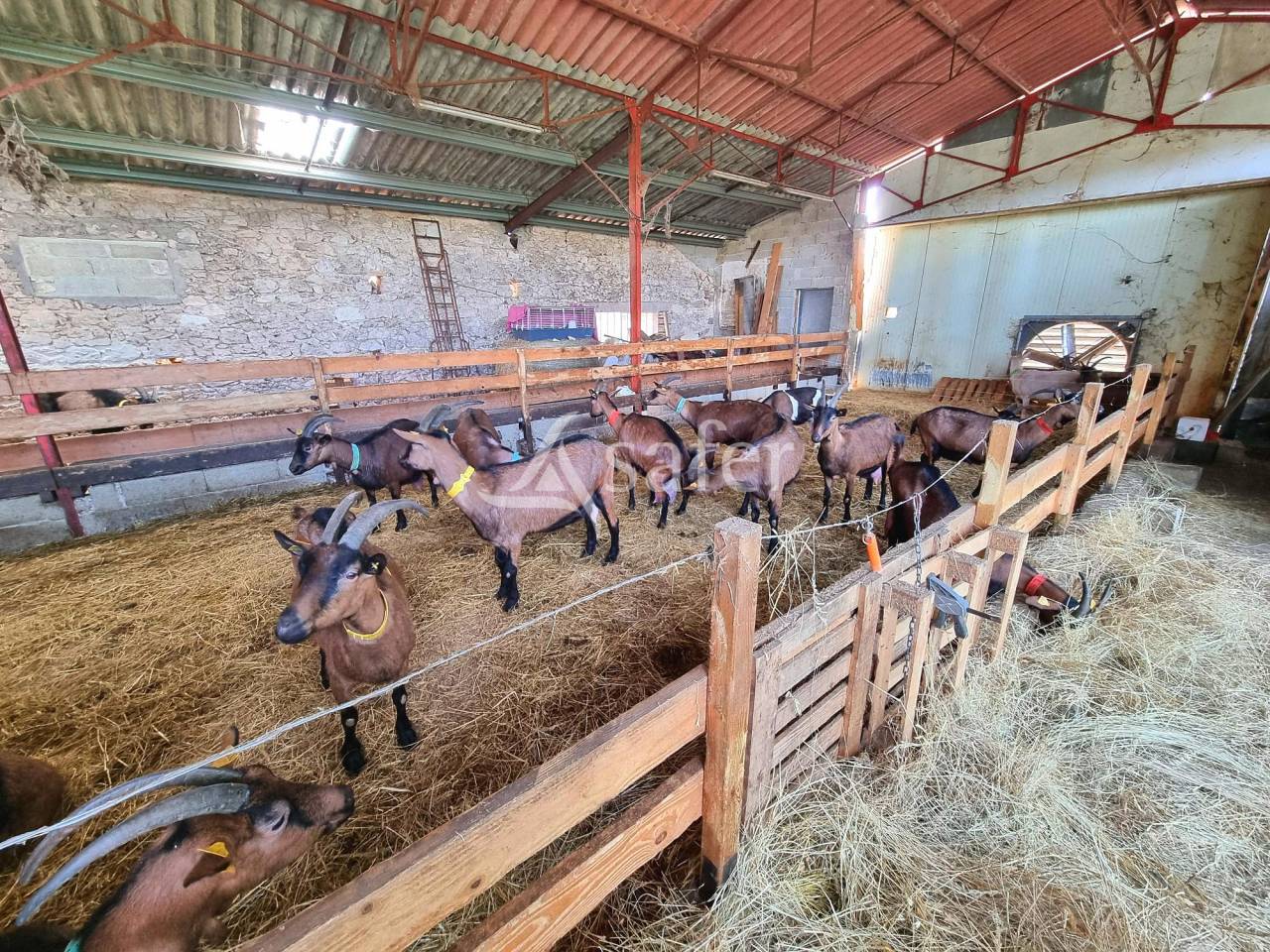 Petite exploitation &agrave; vocation &eacute;levage avec atelier transforma