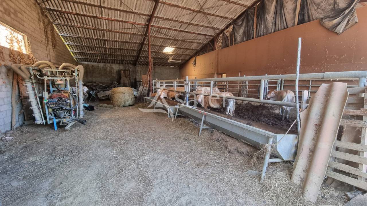 Propri&eacute;t&eacute; polyculture &eacute;levage de 38 ha Proche Aignan