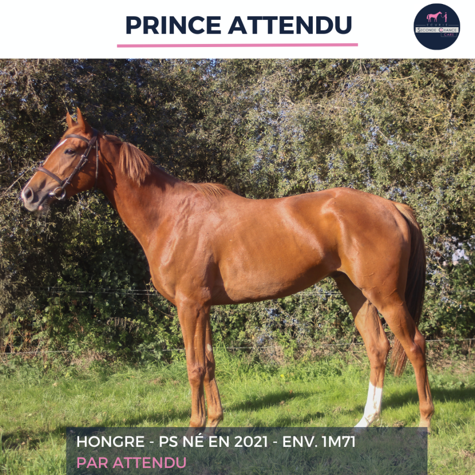 PRINCE ATTENDU - PS - 4 ANS