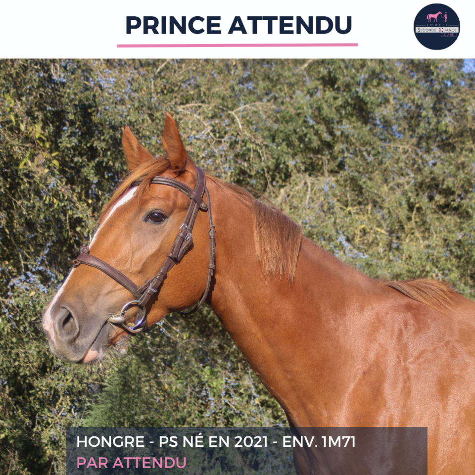 PRINCE ATTENDU - PS - 4 ANS