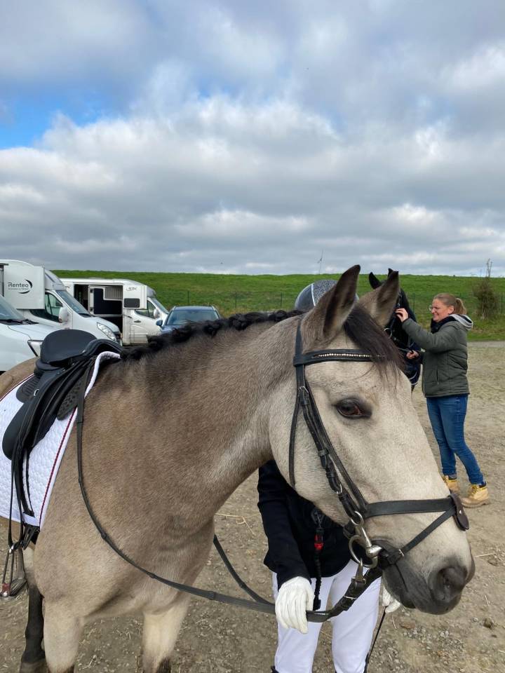 Très jolie ponette Isabelle 2018