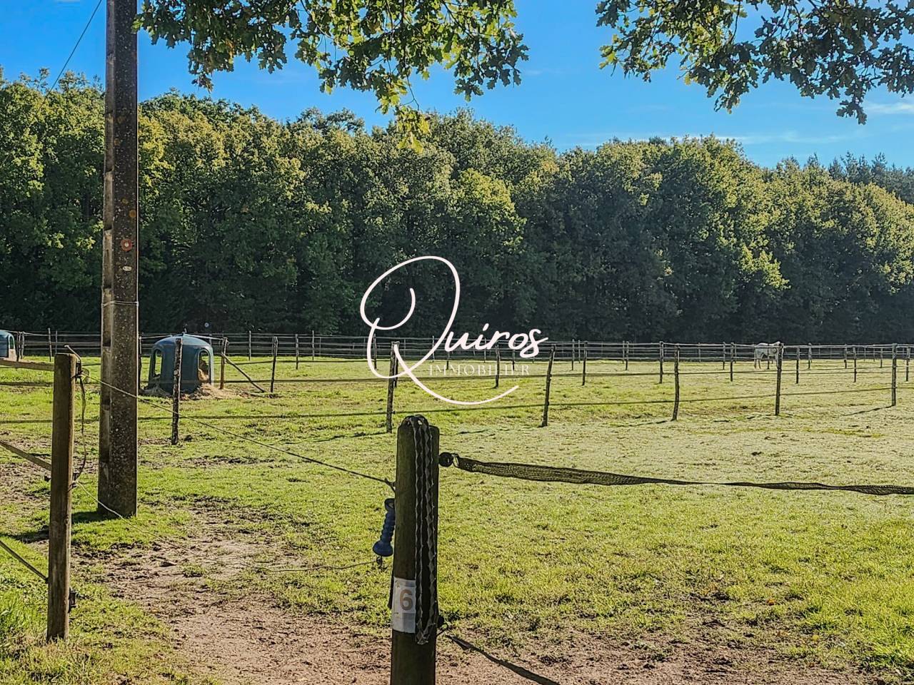 Domaine équestre complet  17 ha  Proche Lamotte-Beuvron