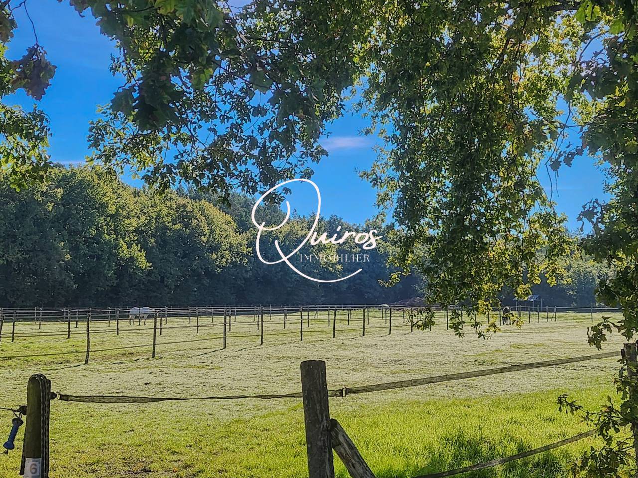 Domaine équestre complet  17 ha  Proche Lamotte-Beuvron