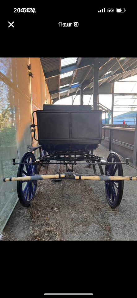 Calèche a vendre 